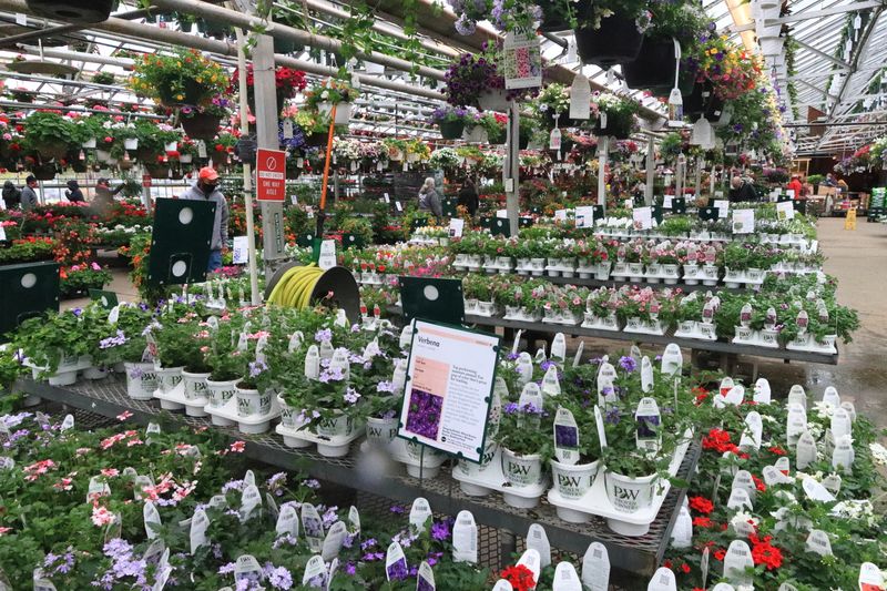 The Summer Season's Flourishing Bounty