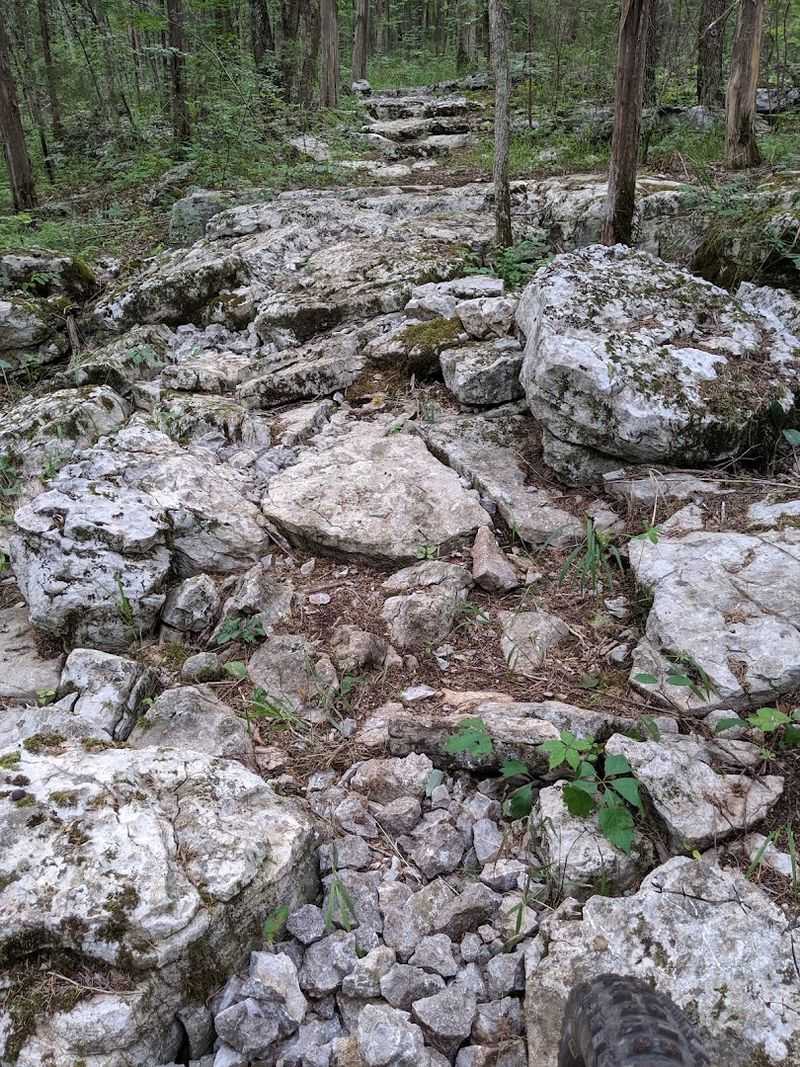 Seven Miles Of Trails For Every Kind Of Walker