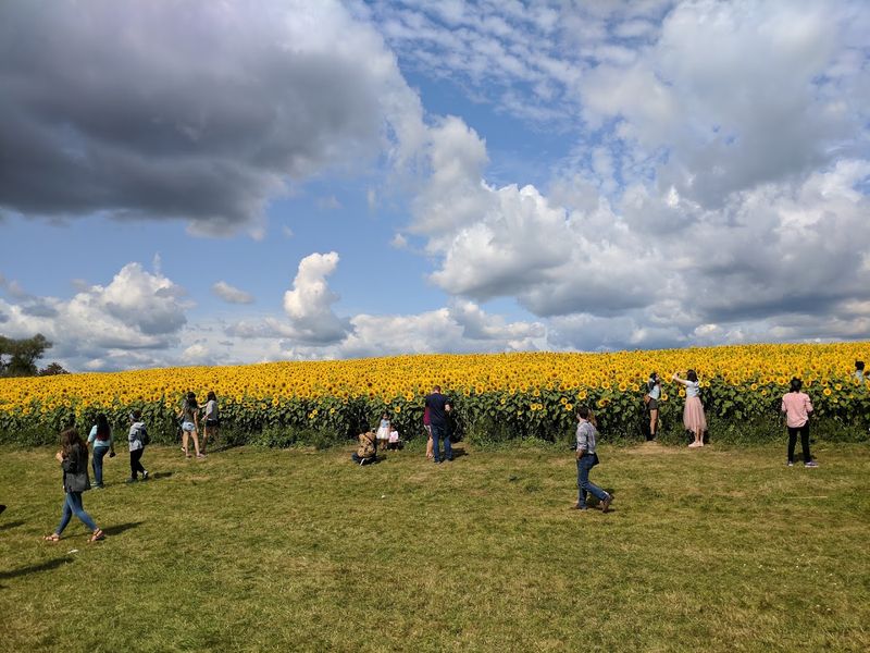 Etiquette And Observation In The Field