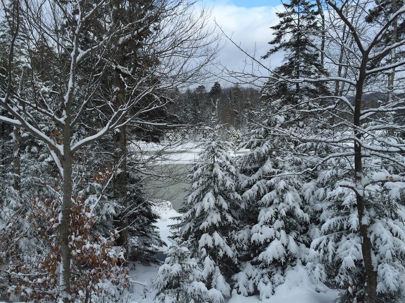 Winter Turns This Town Into A Snow Globe