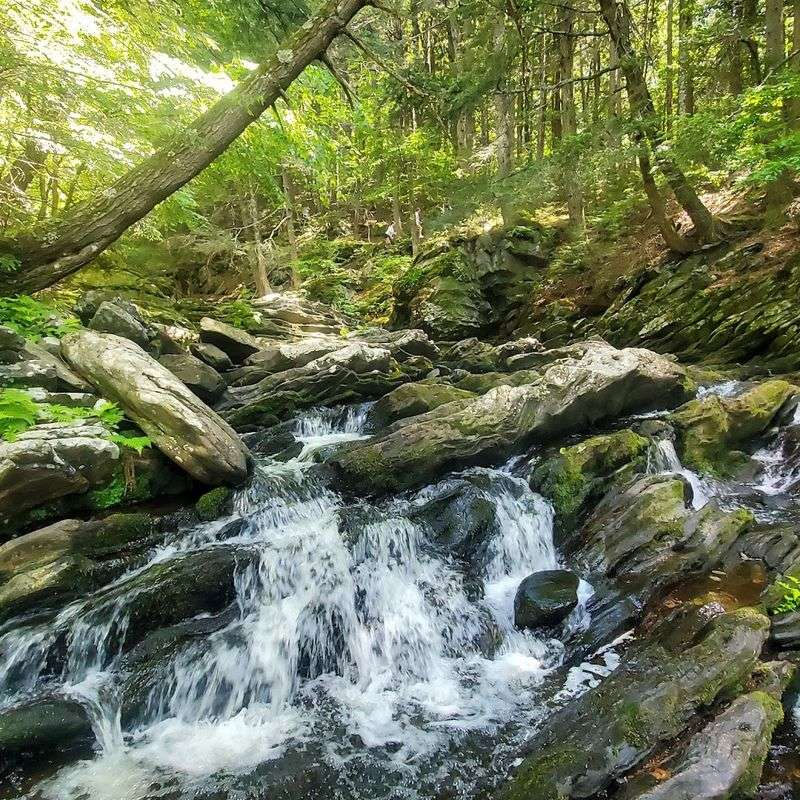 Journey Along Wahconah Falls Brook