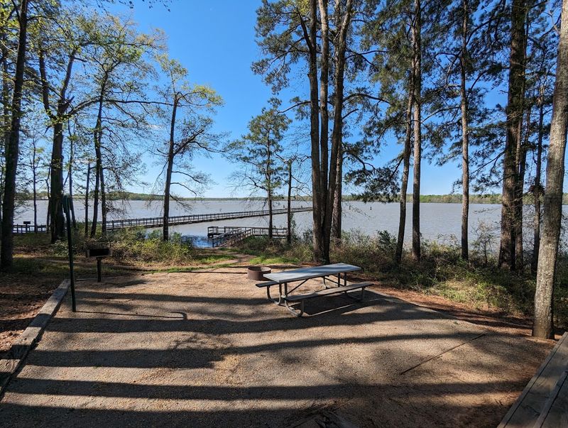 Whitten Park Is The Real Deal