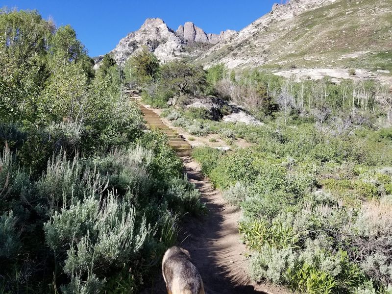 The Scenic Hike That Starts Right Nearby