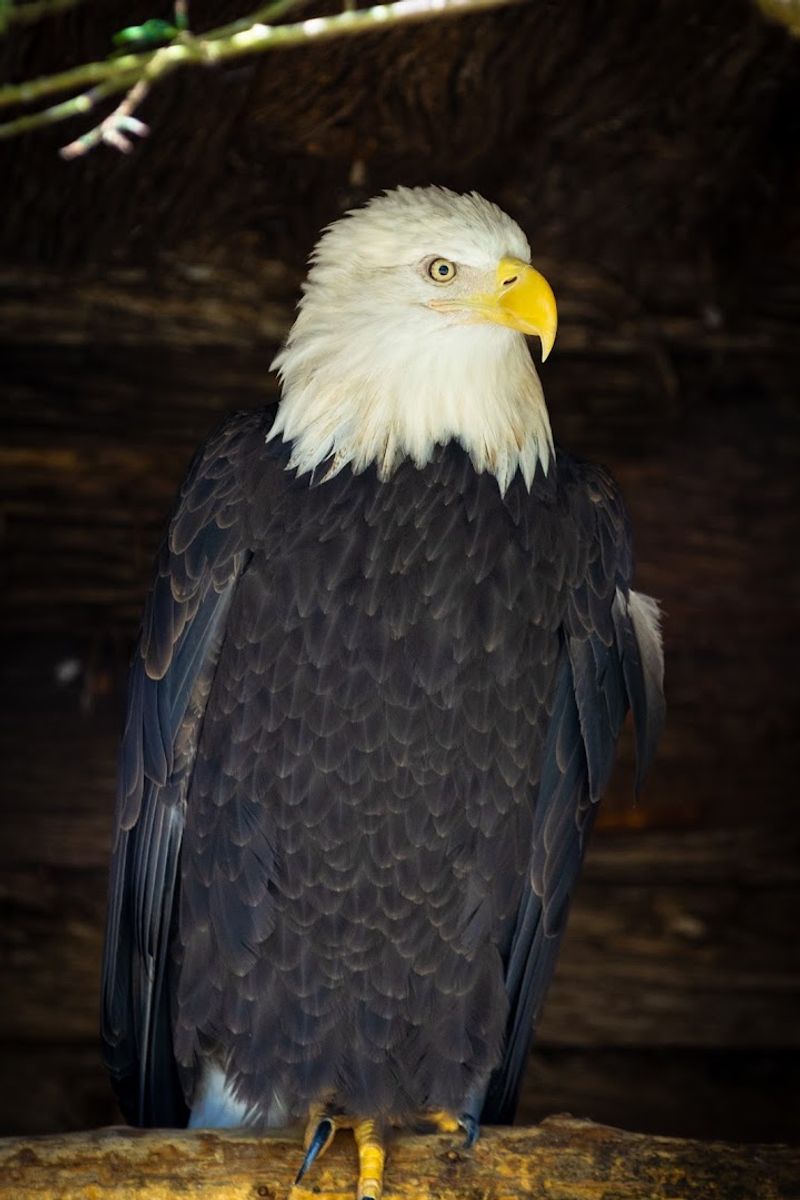 Animals That Keep You Watching Longer Than Expected