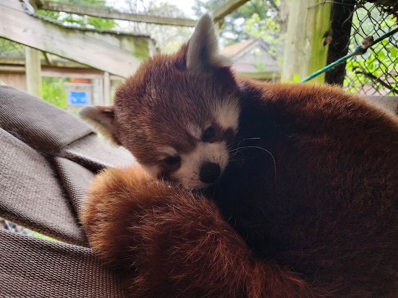 Wildlife Encounters For Every Age
