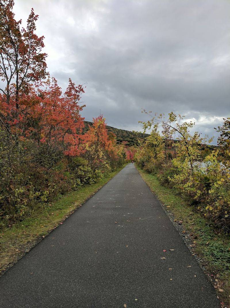 Seasons And The Sustained Beauty