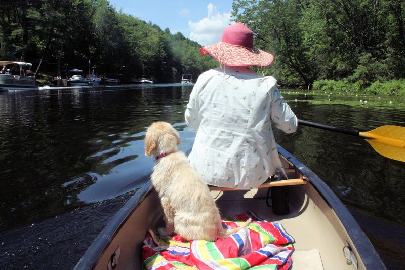 Tubes, Kayaks, And Easy Gear Rentals