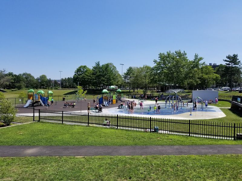 Community Events And Local Culture