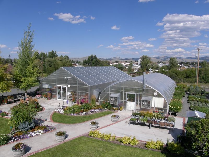 Community Events Year-Round