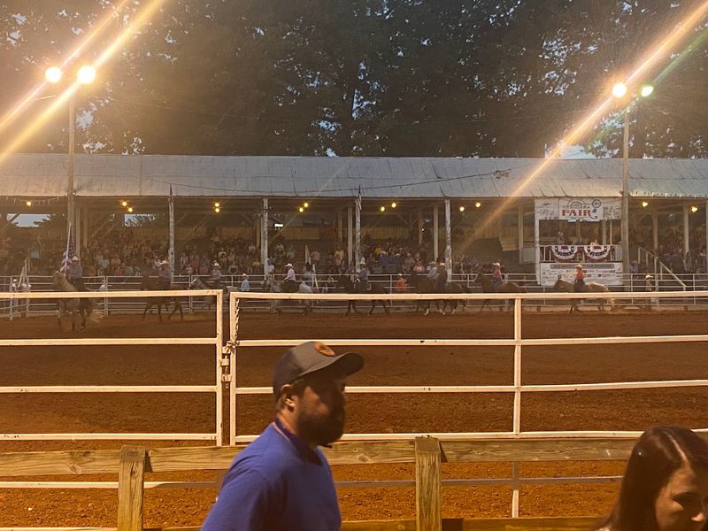 Rodeos, Rides, And Grandstand Thrills