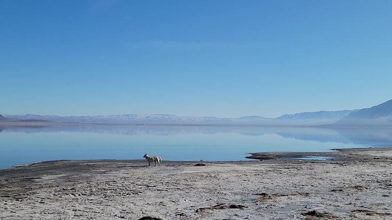 The Paiute Connection To These Waters