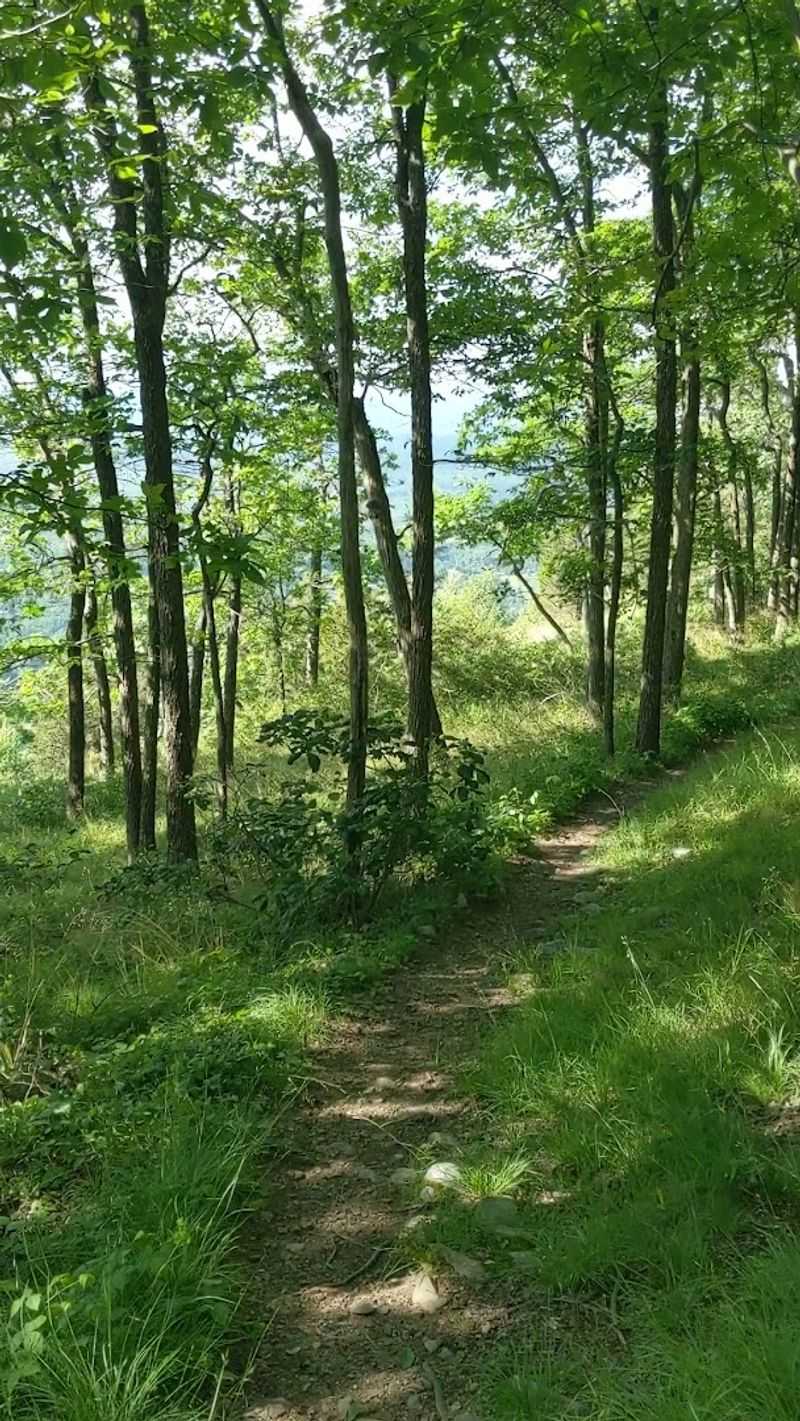 Delaware Water Gap National Recreation Area