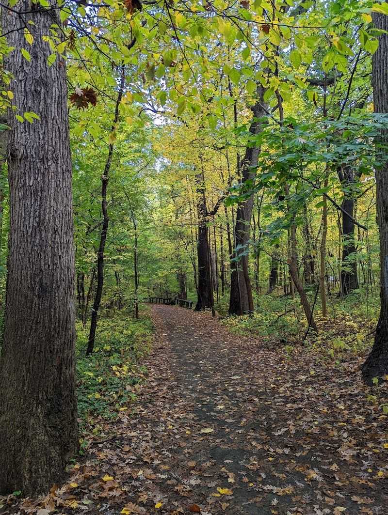 Forest Park, Queens