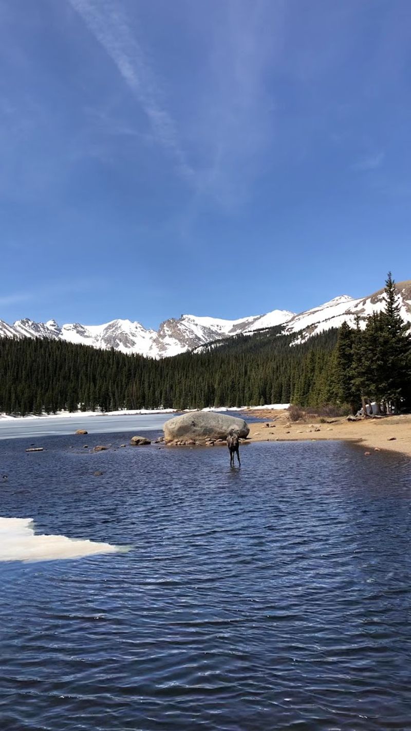 Fishing In An Alpine Frame