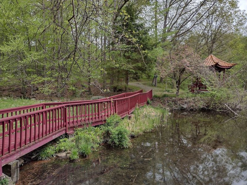 Koi Ponds, Stone Bridges, And Living Stillness
