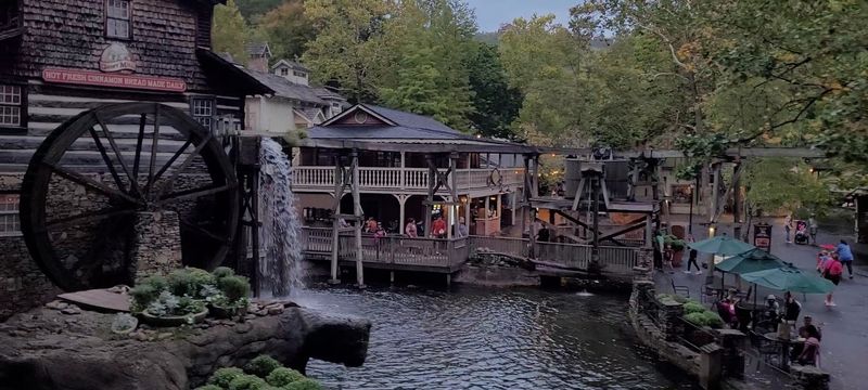 A Respite Amidst The Park's Rhythm