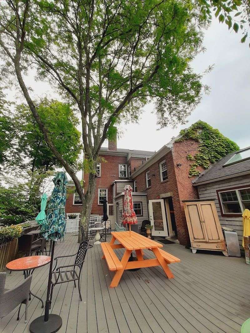 Outdoor Serenity Amidst Blooming Greenery