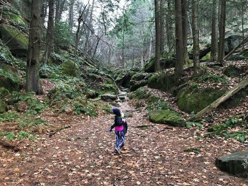 Navigating The Boulder-Strewn Path