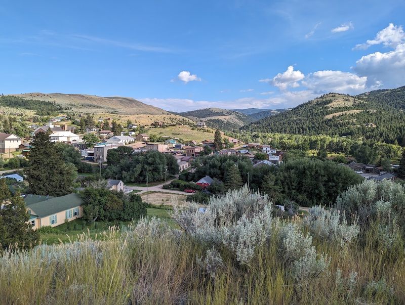 Virginia City 