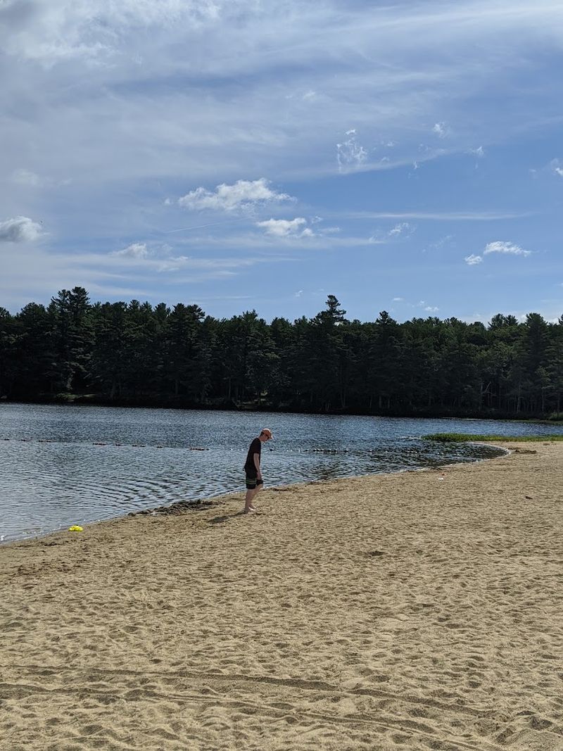 The Shoreline's Unhurried Rhythm
