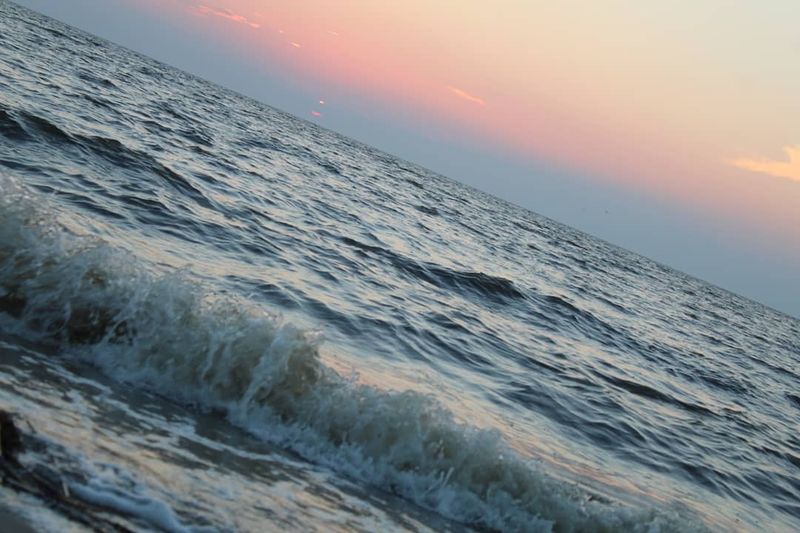 Tidal Patterns And Their Impact On Wildlife