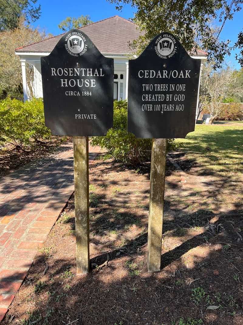 Storytelling Of The Town's Past
