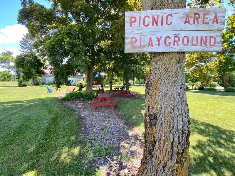 Fun Activities That Make It A Great Family Outing