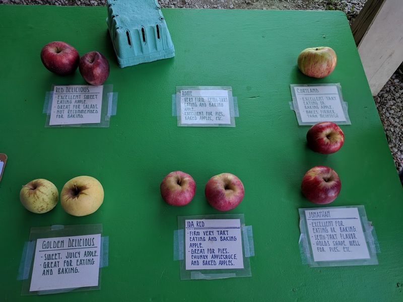 Ready Picked Apples Make The Farm Market Worth Browsing Too