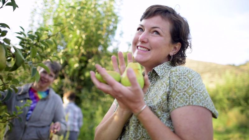 Visitors Can Pick Their Own Apples Straight From The Trees