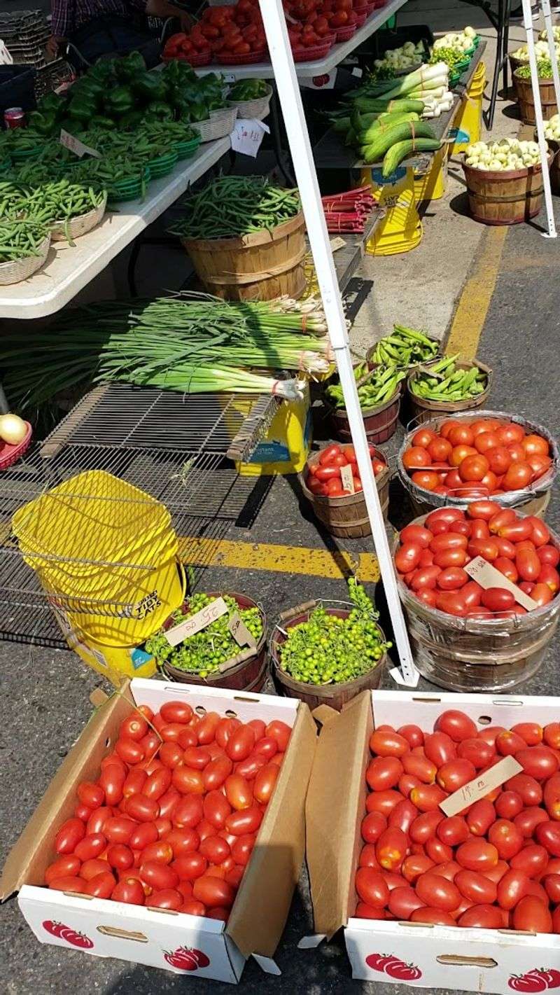 Street Food That Steals The Show