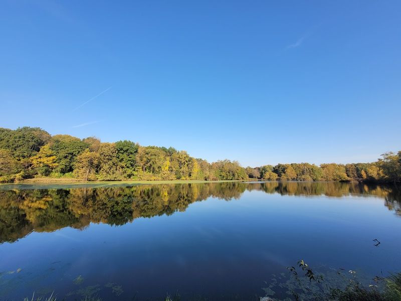 Wildlife Viewing And Natural Habitats Nearby
