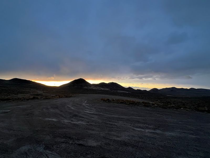 Wildlife And Desert Hazards After Dark