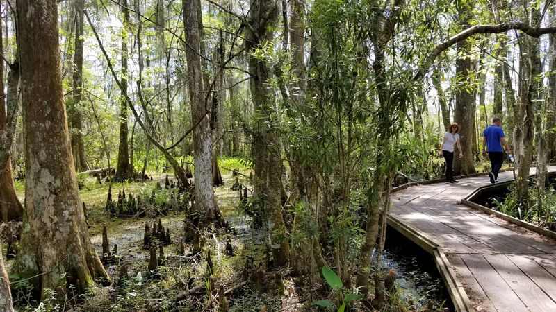 Jean Lafitte National Historical Park And Preserve, Barataria Preserve