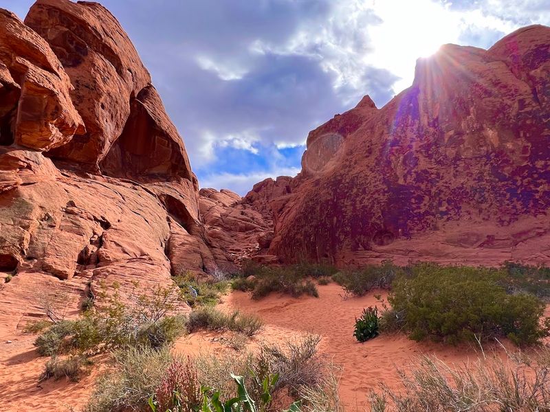 Mouse's Tank Trail Winds Through A Hidden Canyon