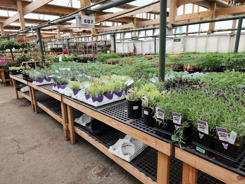 Sustainable Practices For Eco Friendly Gardens