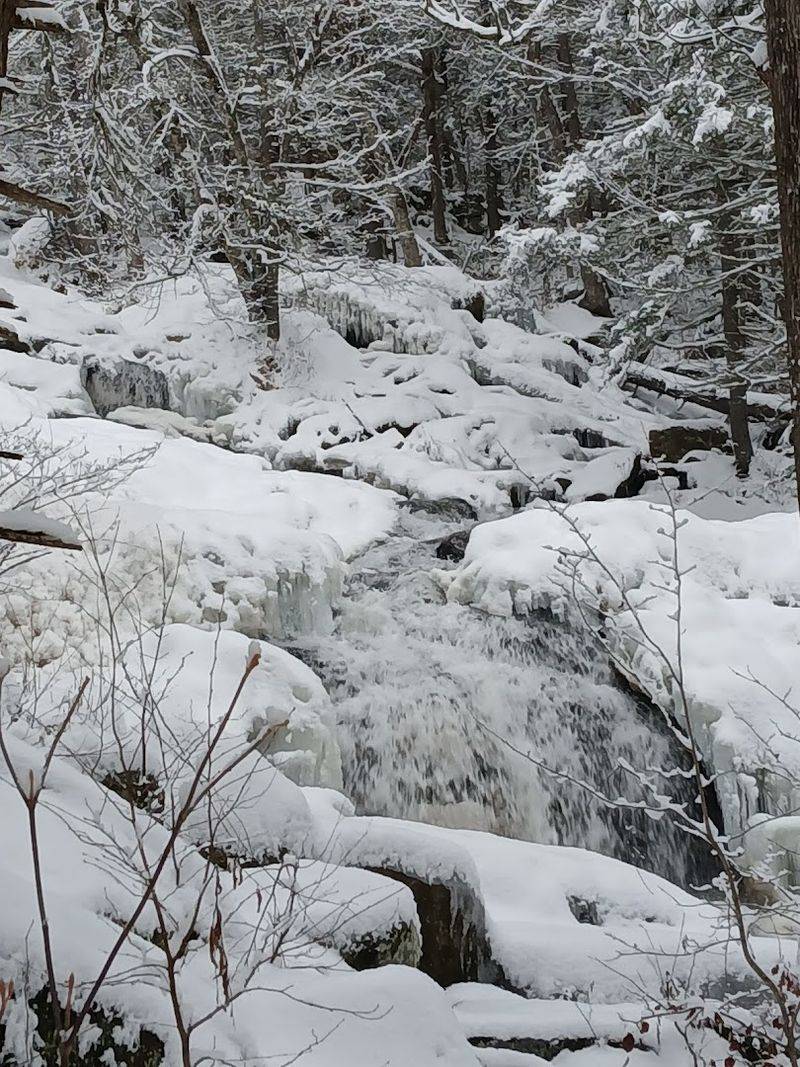 Winter Brings Ice Formations That Look Almost Unreal