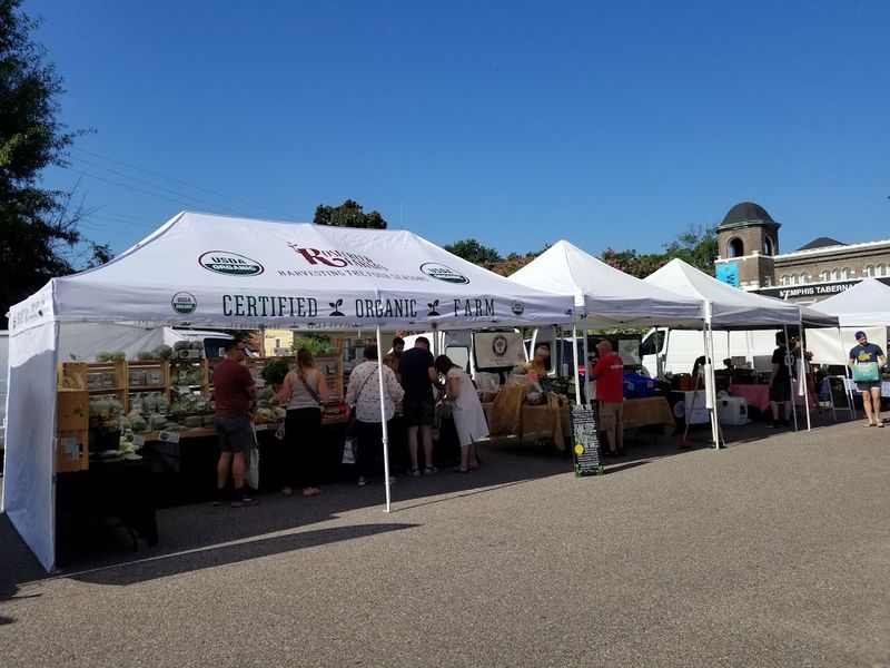Grass-Fed Meats And The Farmers Behind Them
