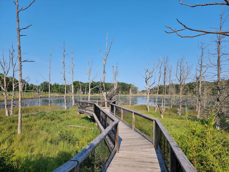 World's End, Hingham