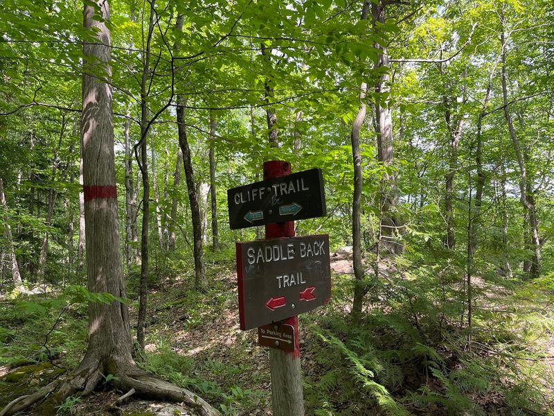 Chittenango Falls State Park Vs. Clark Reservation State Park