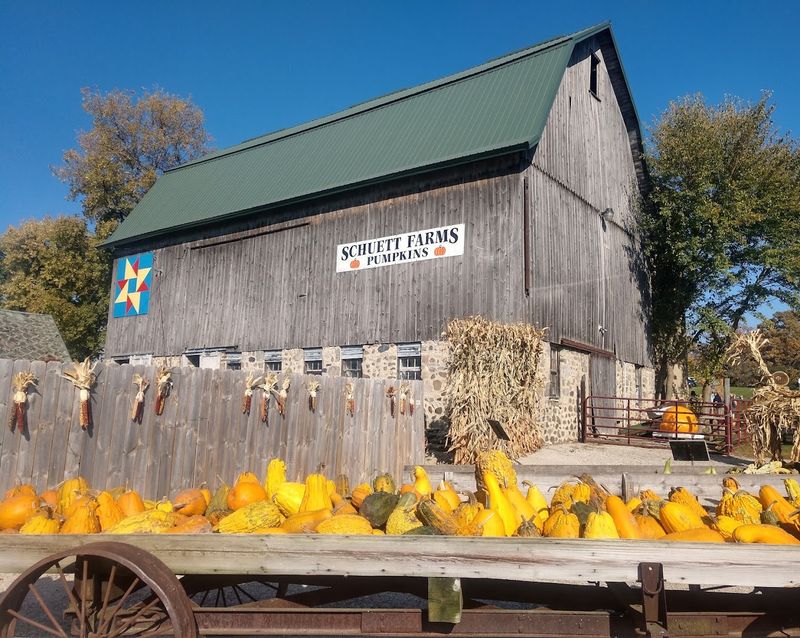 Schuett Farms