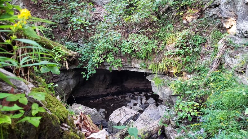 Camping Options Inside The Natural Area