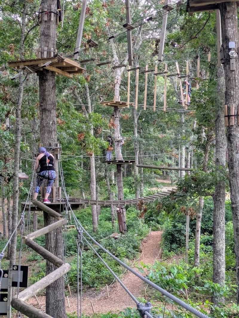 The Adventure Park At Heritage Museums And Gardens, Sandwich
