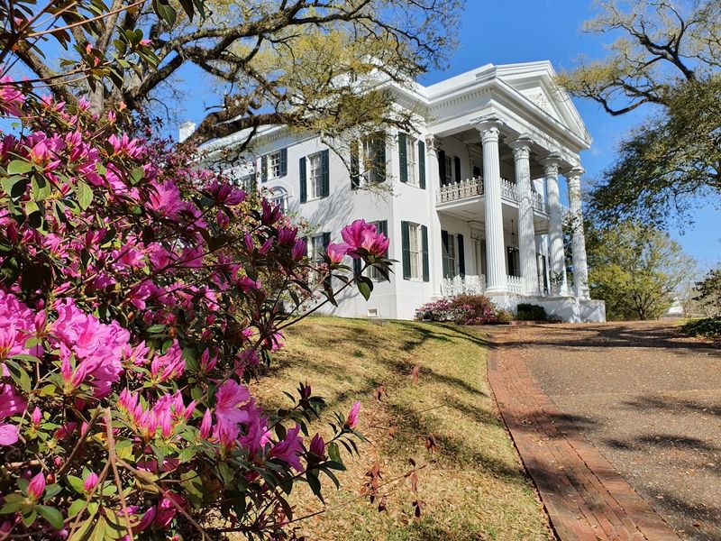 Natchez