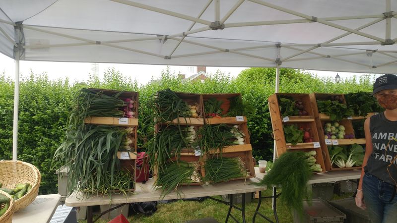 Montauk Farmers Market — Montauk, NY