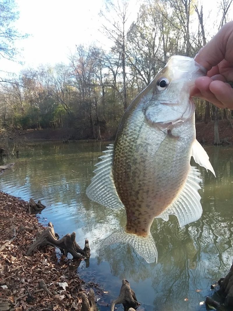 Fishing Waters That Reward The Patient Angler