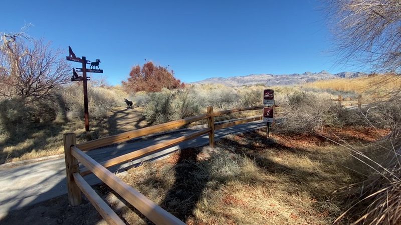 Hiking Trails That Suit Every Type Of Explorer