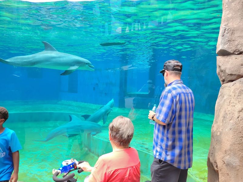Seasonal Events And Programs Focusing On Stingrays