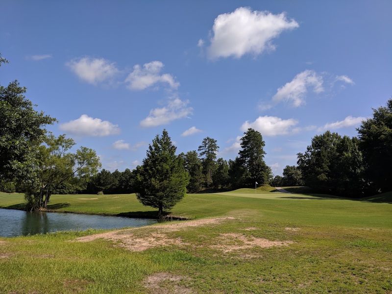 Conservation Efforts Maintaining Natural Beauty