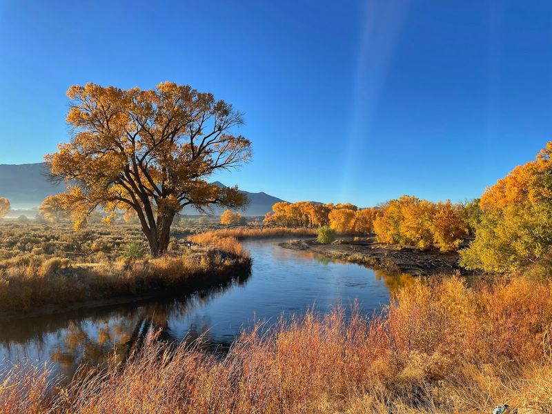Dayton State Park (Dayton)
