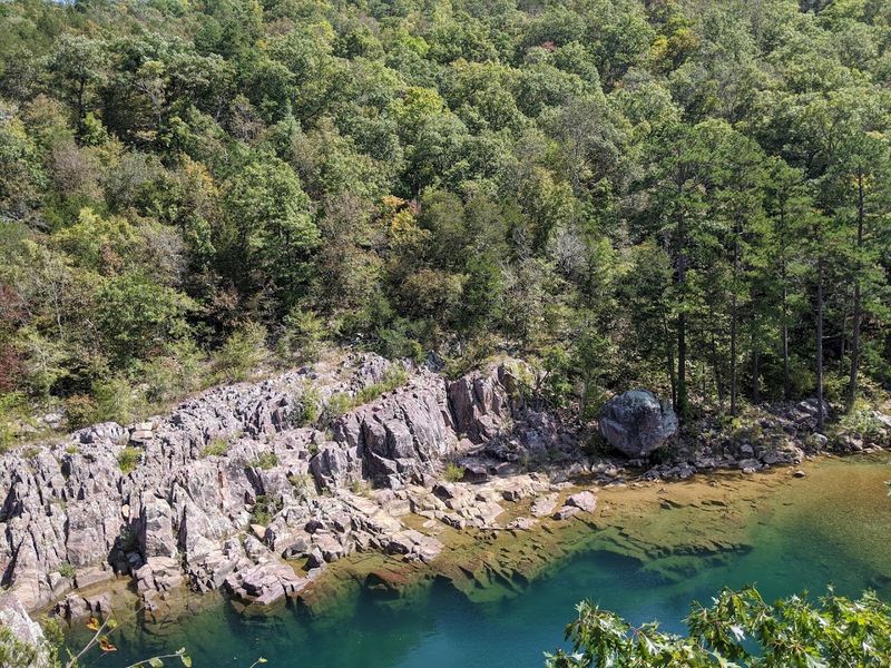 Environmental Conservation Efforts In The Region